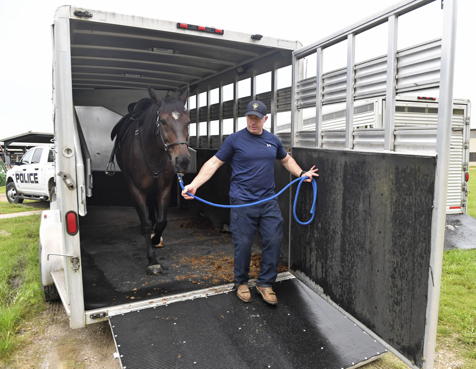 BR.brpdhorses.adv HS 019.JPG